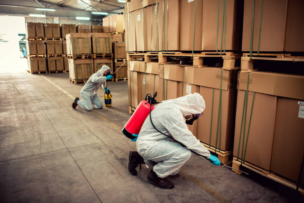 Best Flea Control Services  in Strasburg, CO